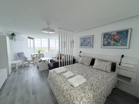 Estudio 1ª Linea de playa (2)